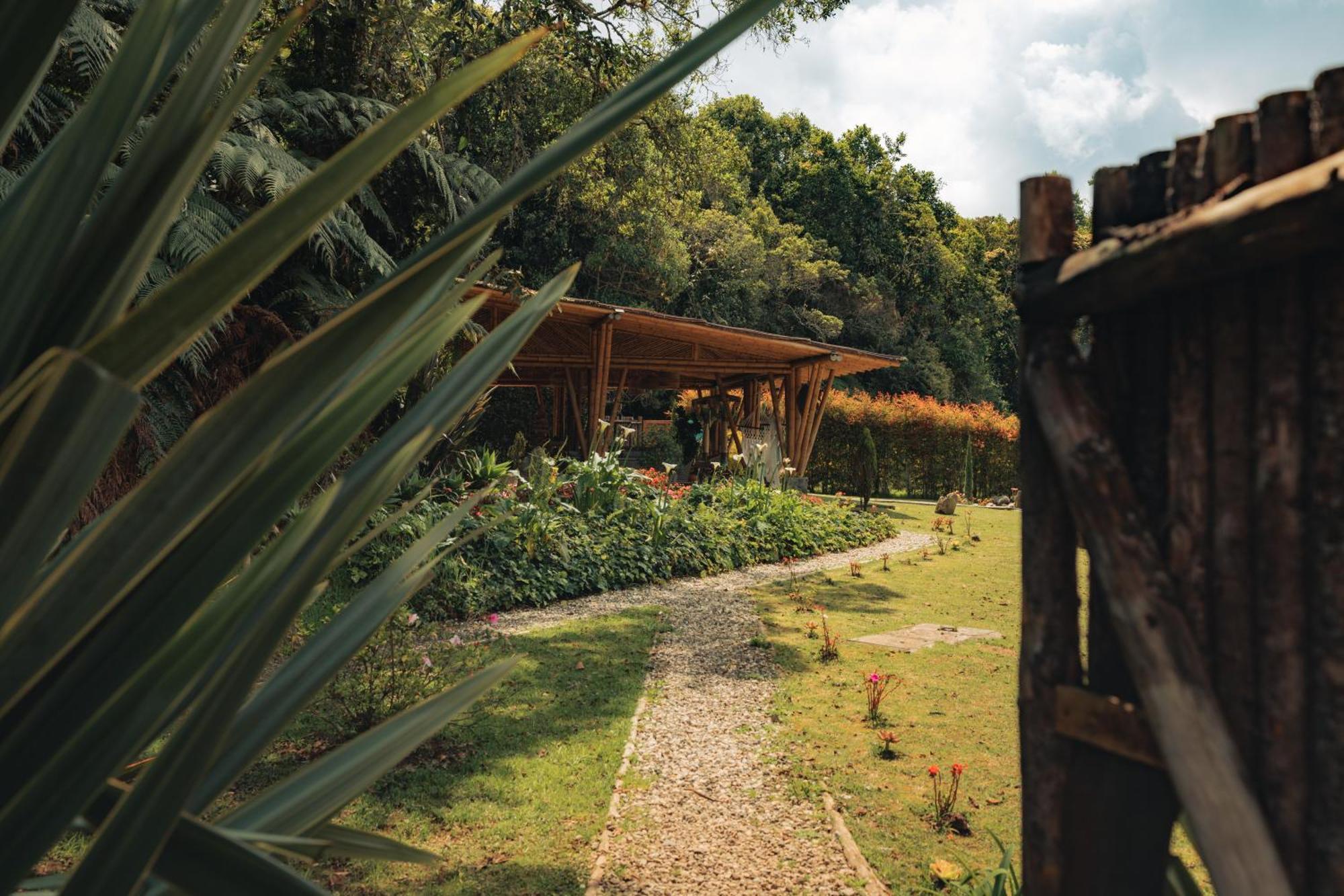 Bubblesky Glamping 15 Min From Medellin Hotel Rionegro Bagian luar foto