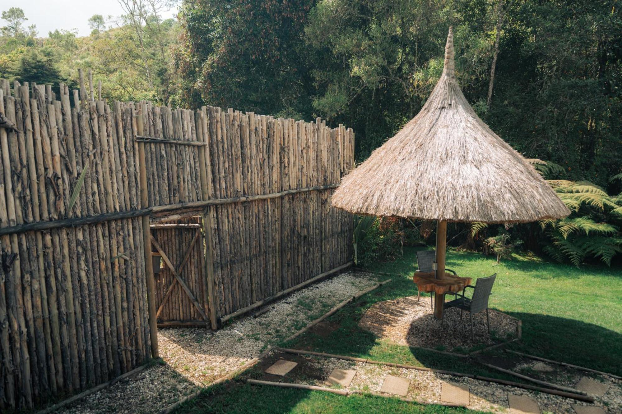 Bubblesky Glamping 15 Min From Medellin Hotel Rionegro Bagian luar foto