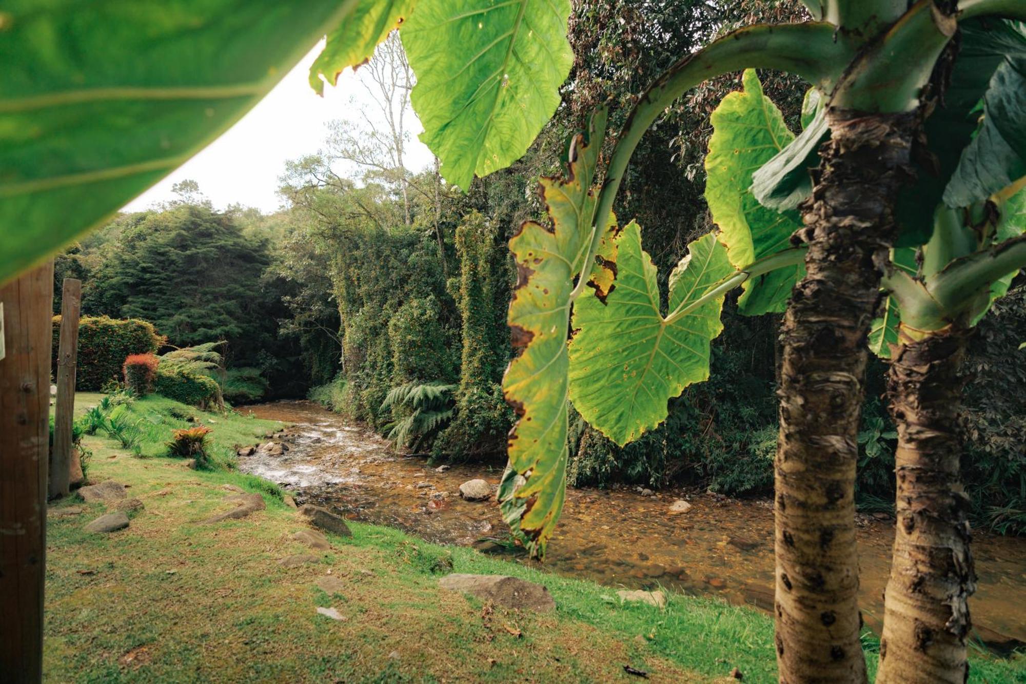 Bubblesky Glamping 15 Min From Medellin Hotel Rionegro Bagian luar foto