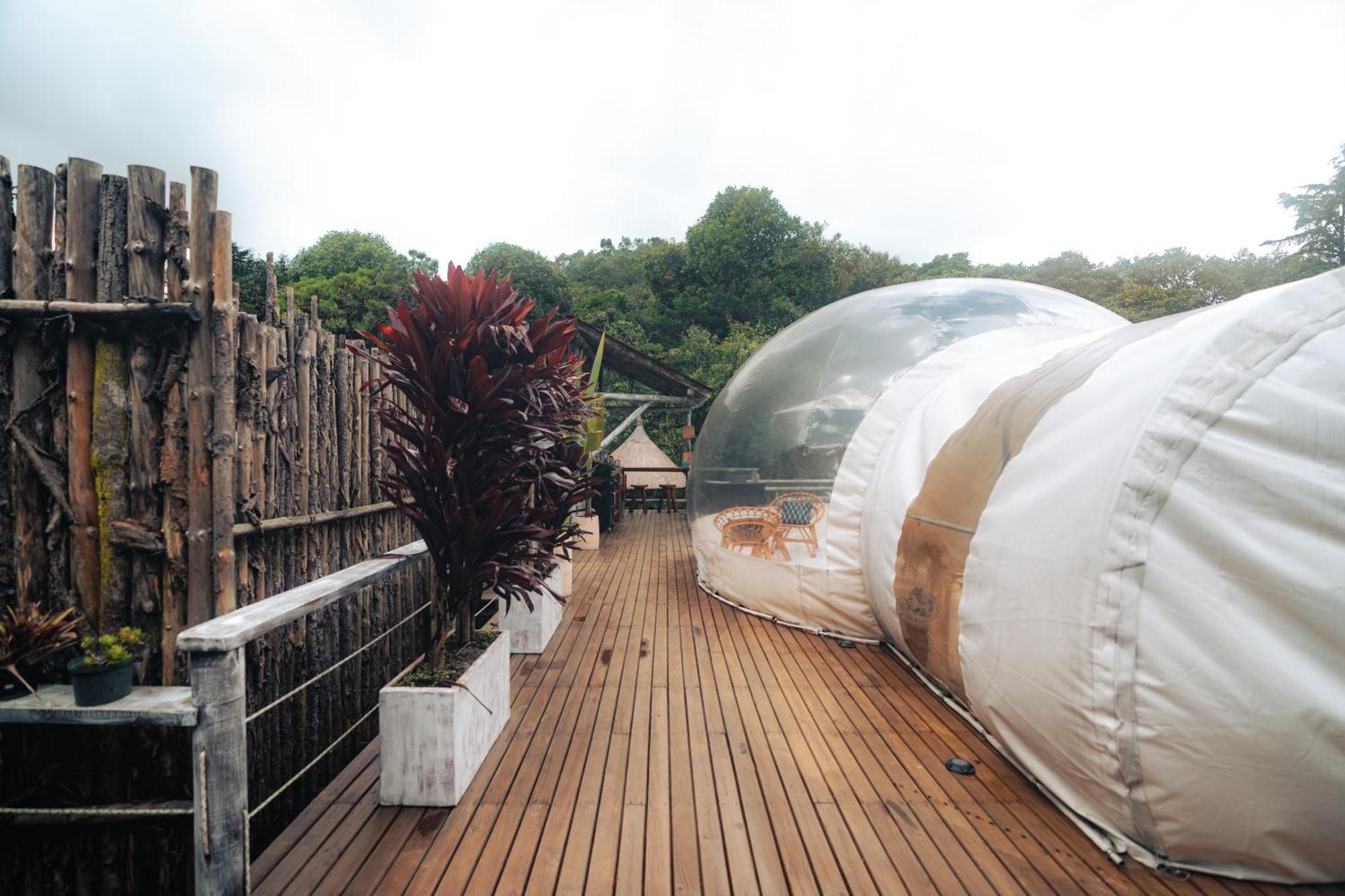 Bubblesky Glamping 15 Min From Medellin Hotel Rionegro Bagian luar foto