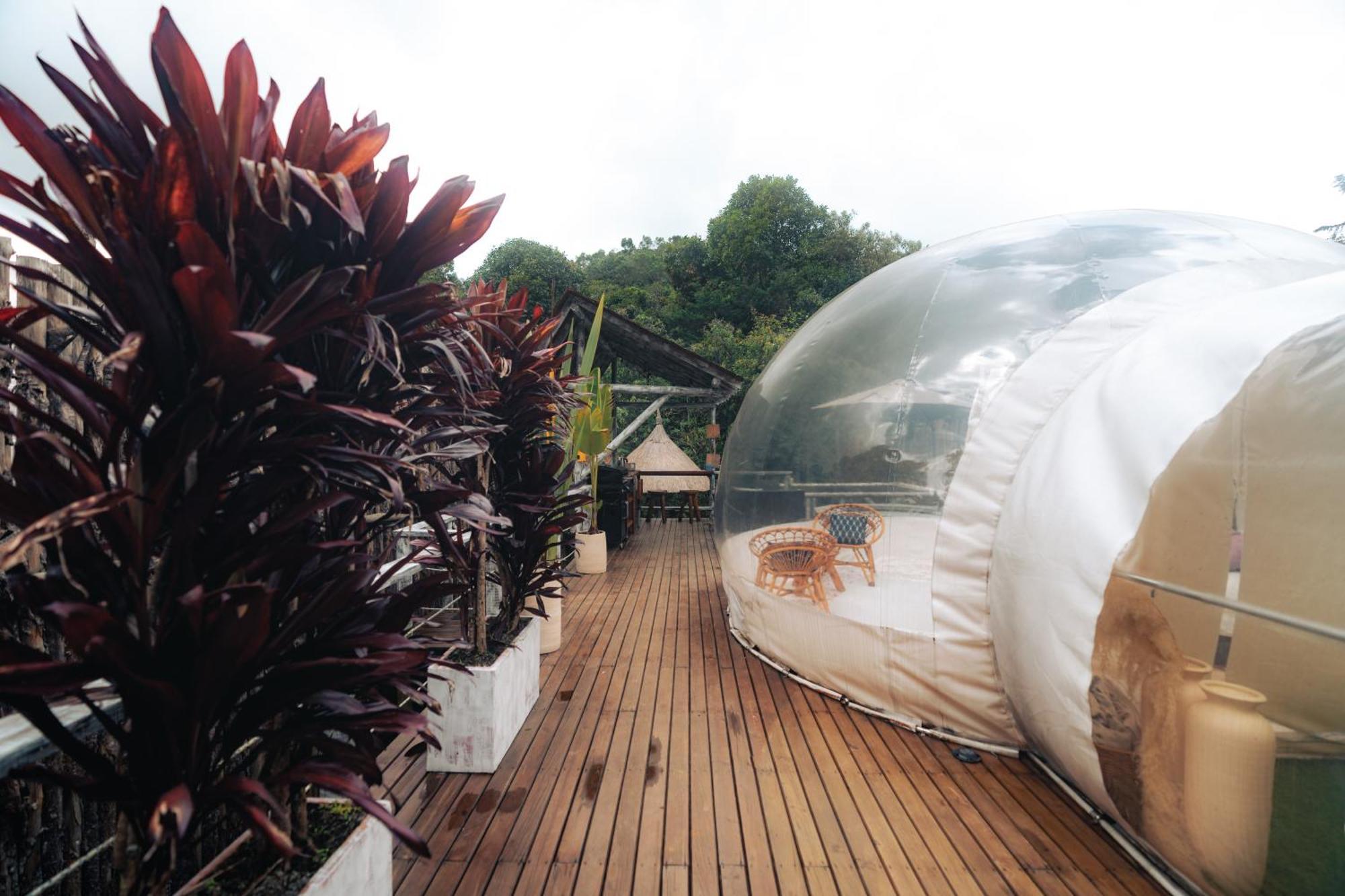 Bubblesky Glamping 15 Min From Medellin Hotel Rionegro Bagian luar foto
